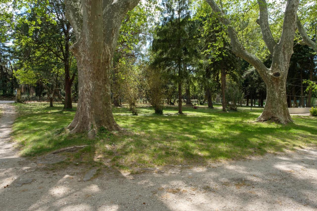 Mas neuf de Romanin : Mas Provençal Familial Saint-Rémy-de-Provence Exterior foto