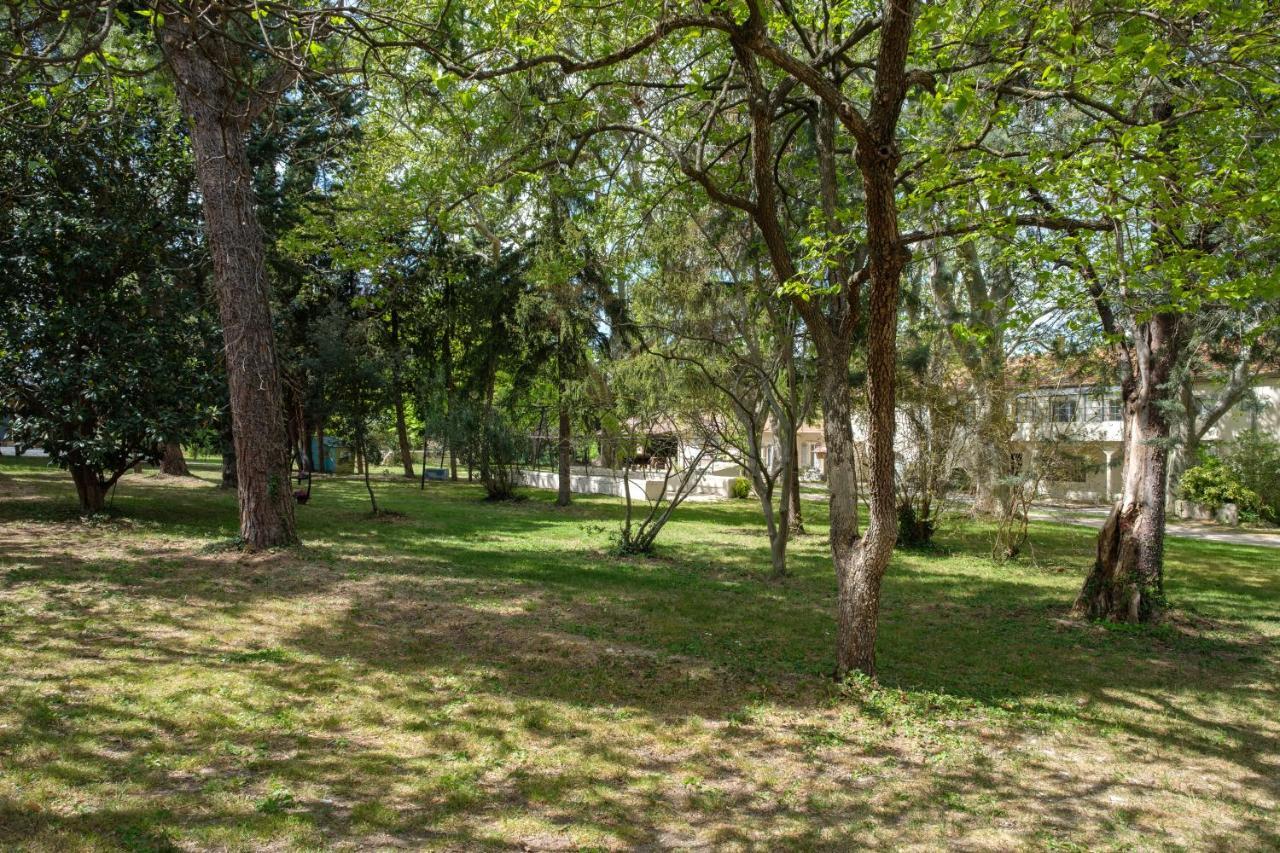 Mas neuf de Romanin : Mas Provençal Familial Saint-Rémy-de-Provence Exterior foto