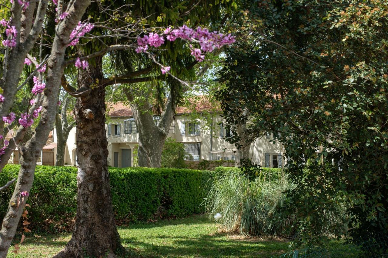Mas neuf de Romanin : Mas Provençal Familial Saint-Rémy-de-Provence Exterior foto